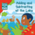 Leveled Reader, Leveled Reading Book Teaching Supplies